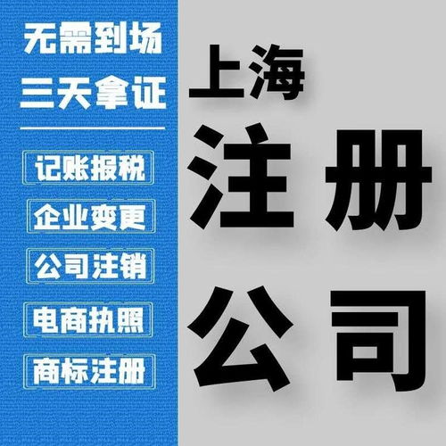 上海普陀區(qū)專業(yè)營業(yè)執(zhí)照代辦 財稅代理價格優(yōu)惠